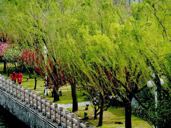 kaiyun开云网页版