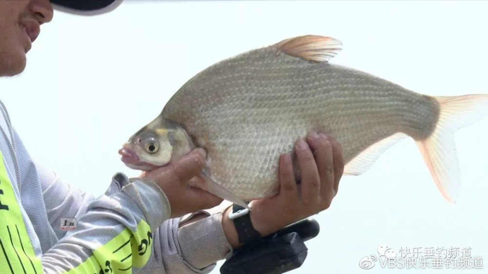 kaiyun网页登录入口