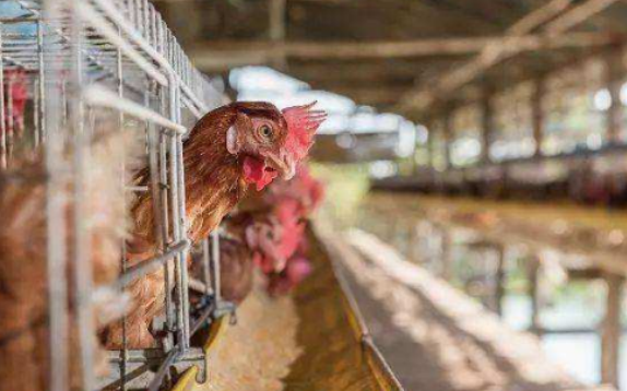 kaiyun开云网页版