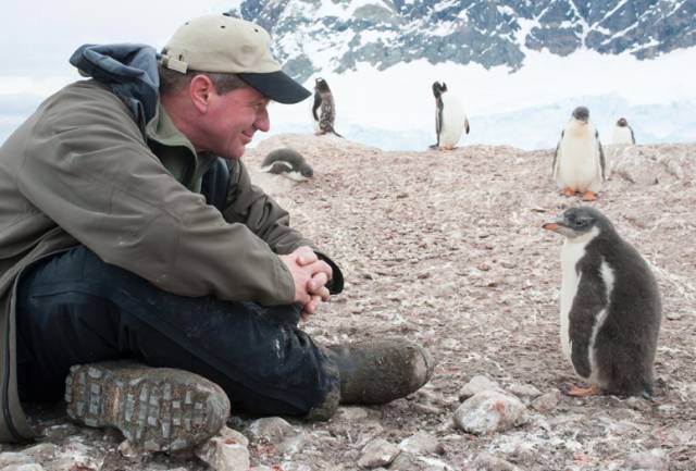 kaiyun网页登录入口