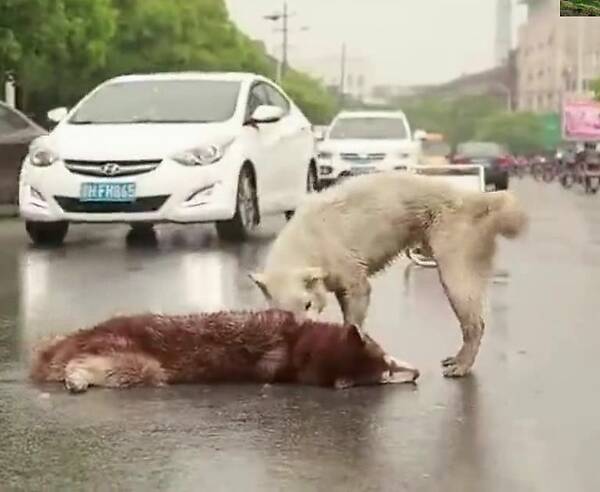 kaiyun开云官方在线登录_教师节到了，孔子发了一条朋友圈......
