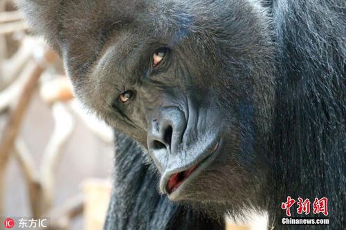 kaiyun开云官方在线登录