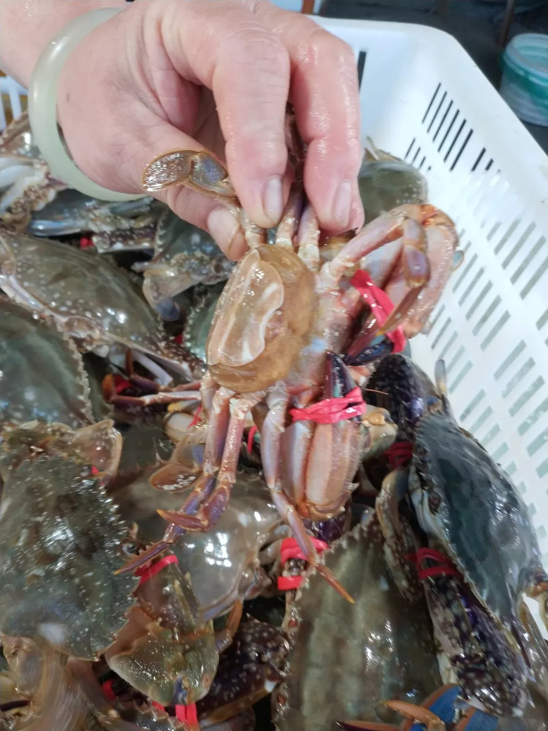 蔬菜沙拉也长胖那是你吃错沙拉酱‘kaiyun开云官方在线登录’(图2) kaiyun开云网页版