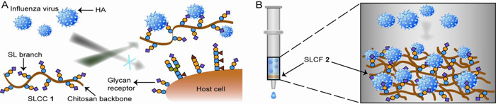 kaiyun网页登录入口