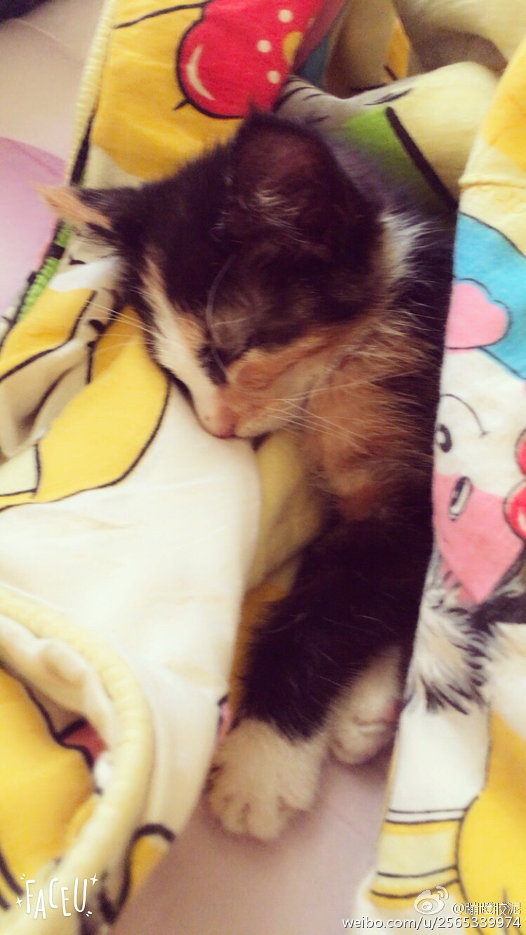 kaiyun网页登录入口