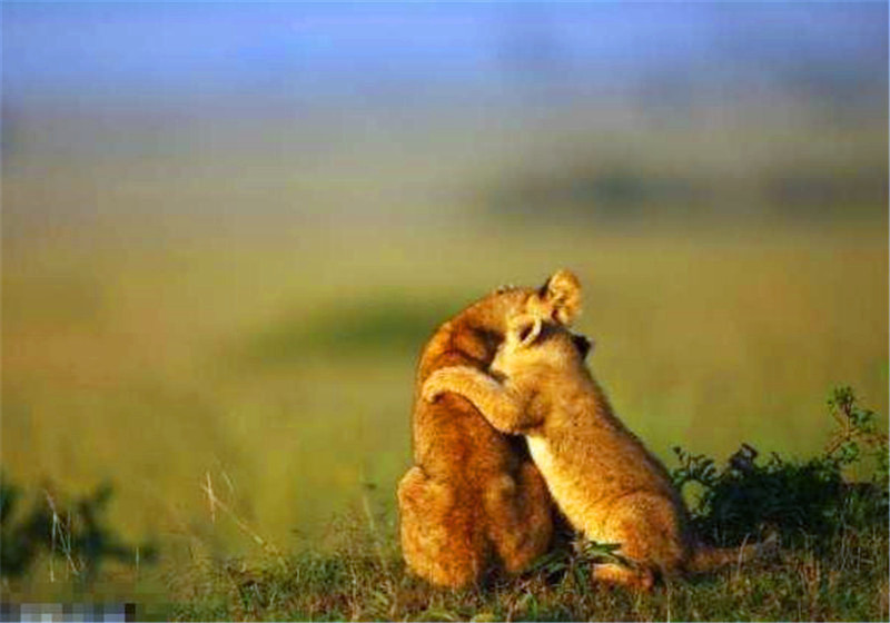 儿童扁桃体炎是怎么引起的-kaiyun网页登录入口