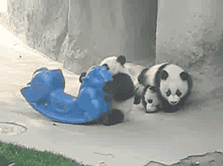 ‘kaiyun开云官方在线登录’糖尿病症状有哪些视力突然变差要警惕