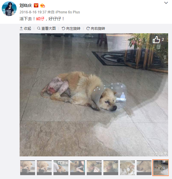 泉州丰泽医博医院治肛瘘更专业_kaiyun开云网页版(图2) kaiyun开云官方在线登录