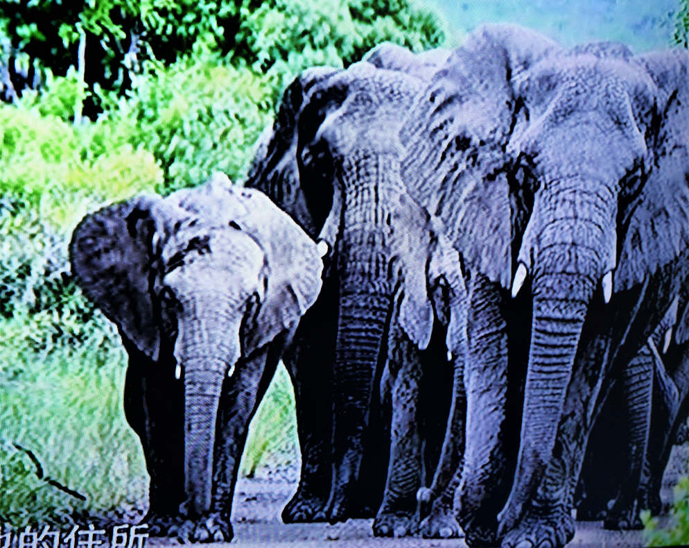 kaiyun网页登录入口