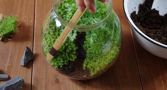 kaiyun网页登录入口