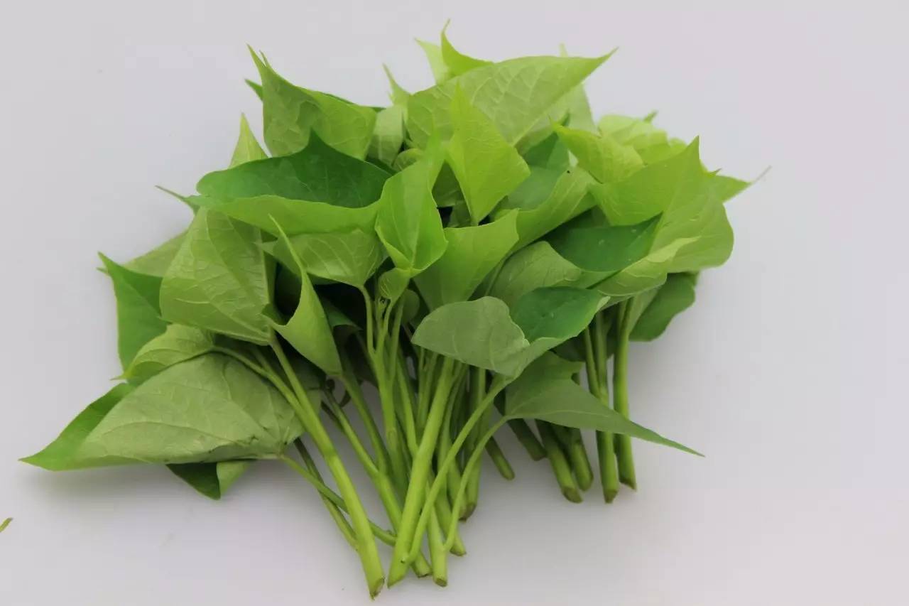 “kaiyun开云官方在线登录”这些眼罩选购小窍门你知道吗？