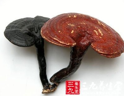 kaiyun网页登录入口