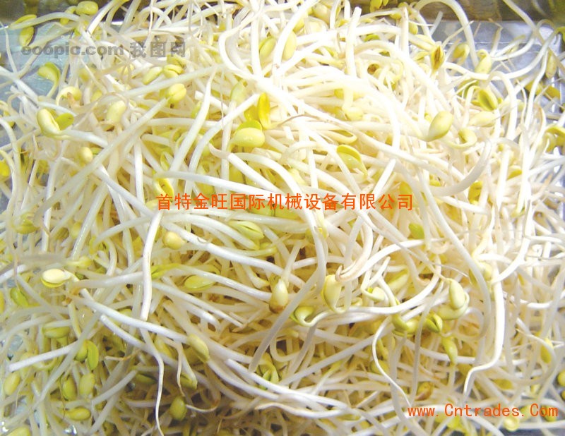 kaiyun网页登录入口