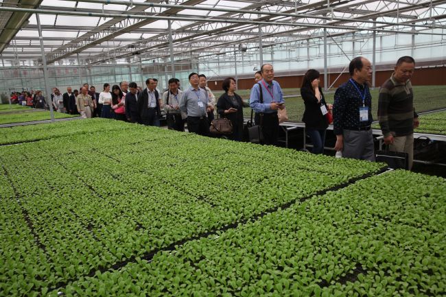 kaiyun开云网页版