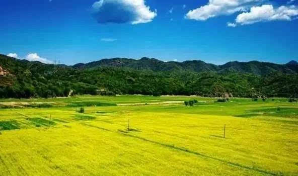 “kaiyun网页登录入口”小米人事大变动：雷军解放自己，安心备战5G竞赛