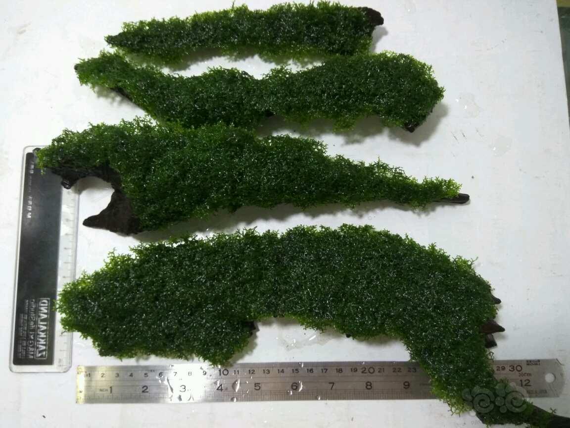 kaiyun开云网页版