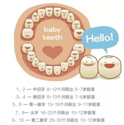 kaiyun开云网页版