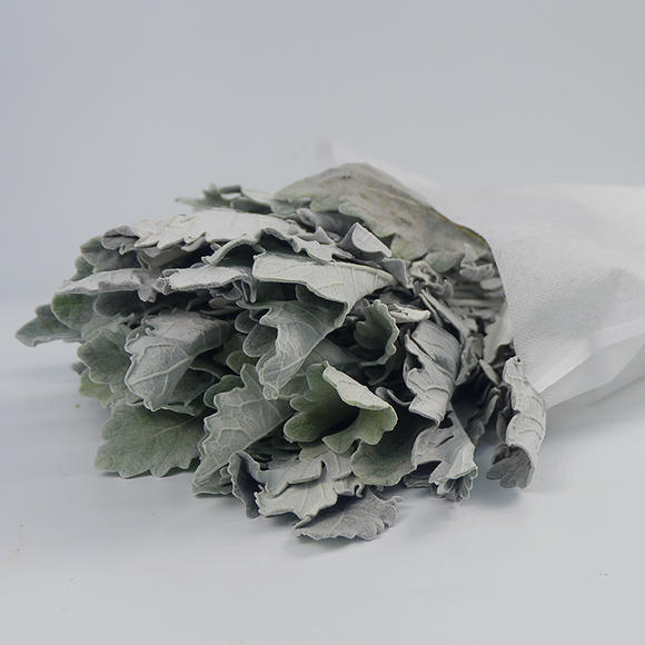 kaiyun开云官方在线登录