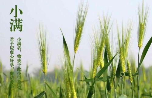 kaiyun网页登录入口:2015北京小升初政策变化——特长生倾向传统文化(图3) kaiyun开云官方在线登录