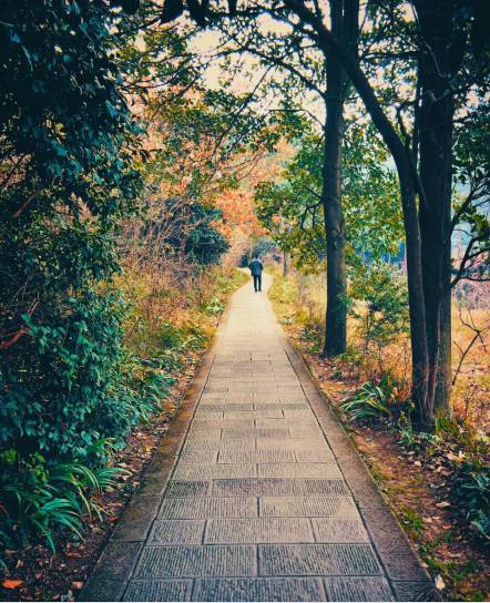 kaiyun网页登录入口