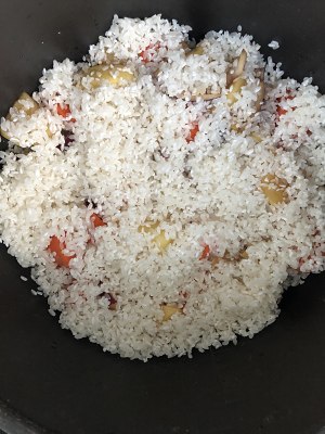 kaiyun开云网页版_2013上海小升初：上海浦东新区小升初之民办建平远翔学校招生简章