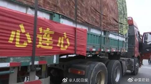 kaiyun网页登录入口